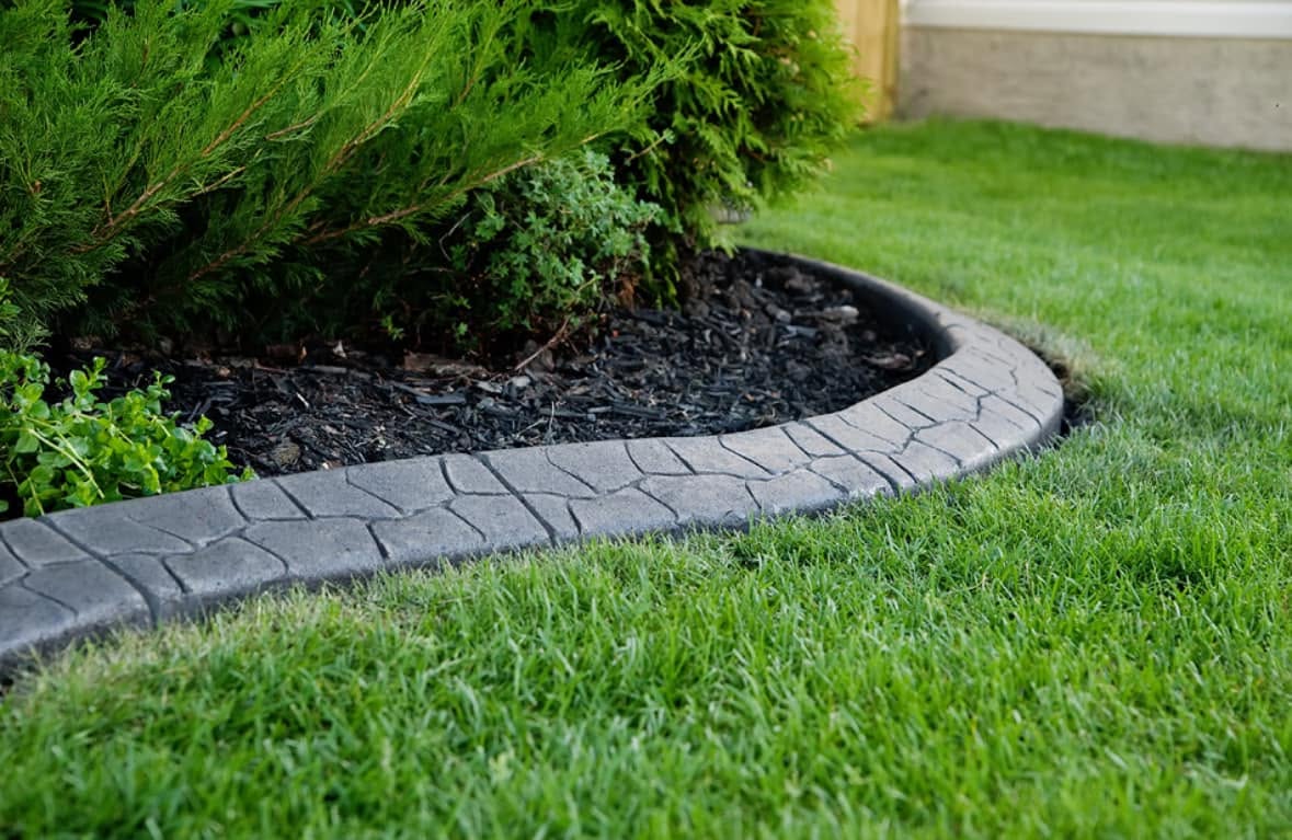 Lawn transformation 1