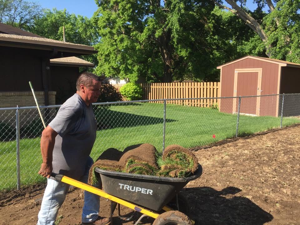 Lawn transformation 11