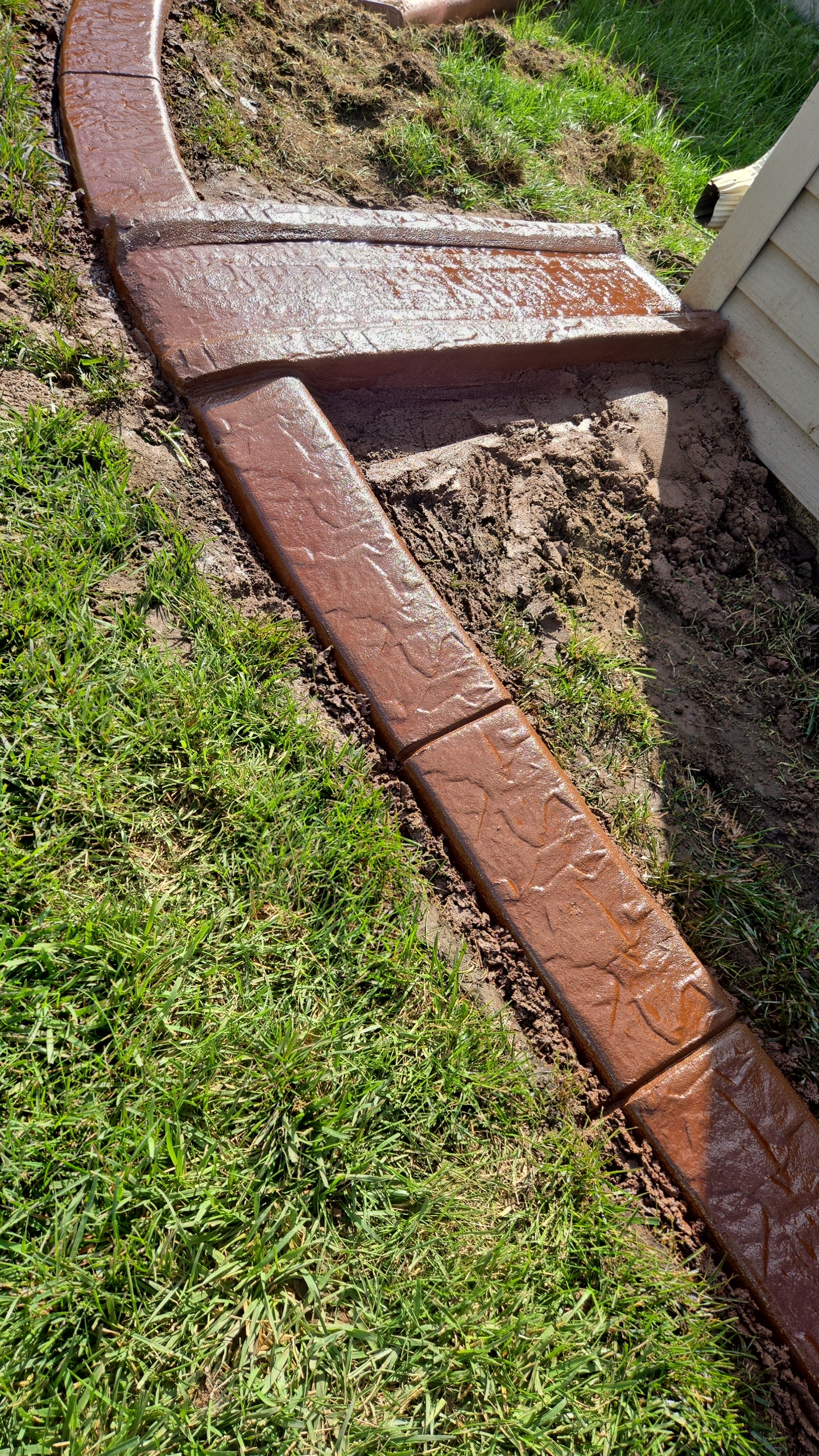 Lawn transformation 14