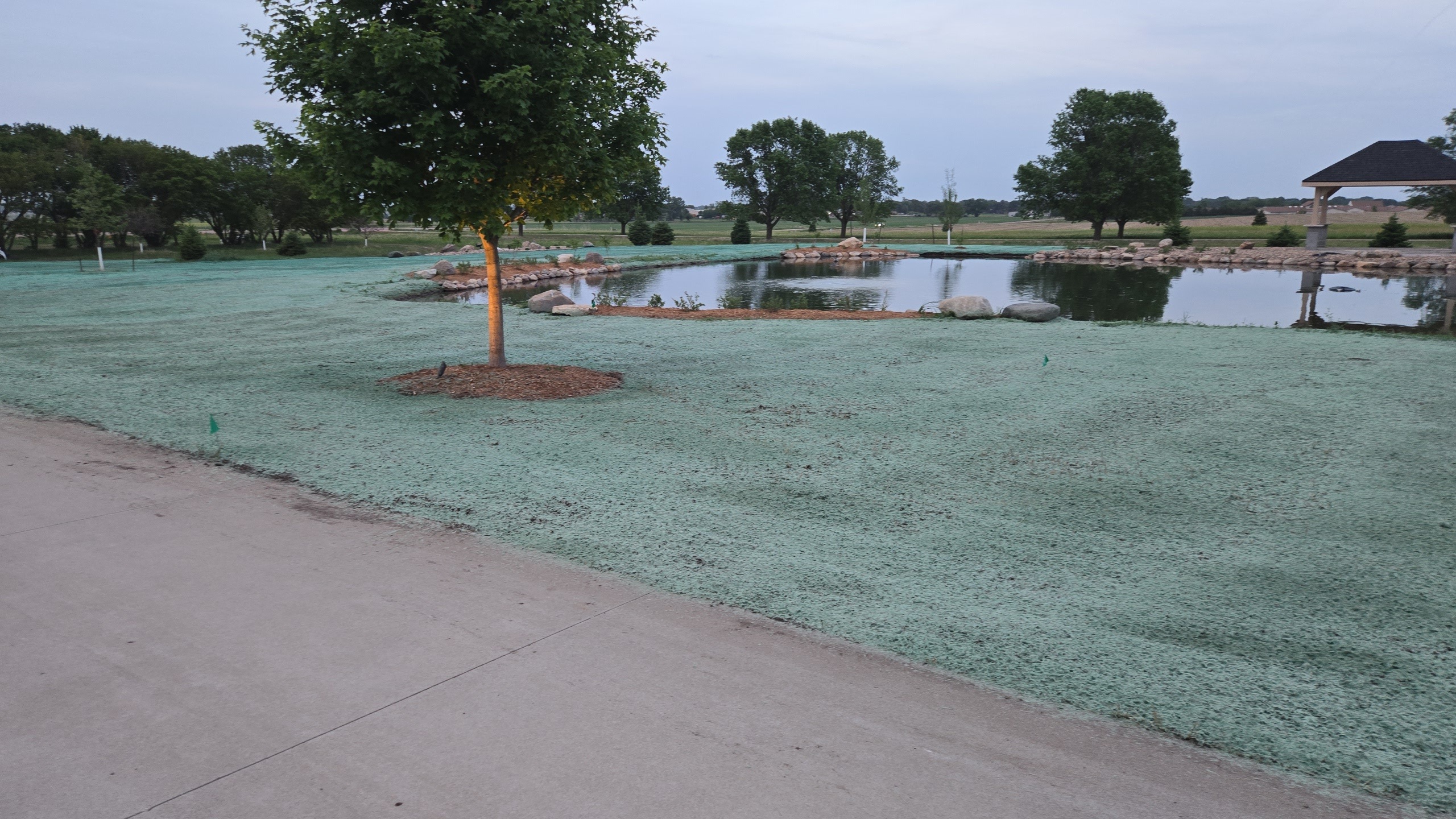 Lawn transformation 16