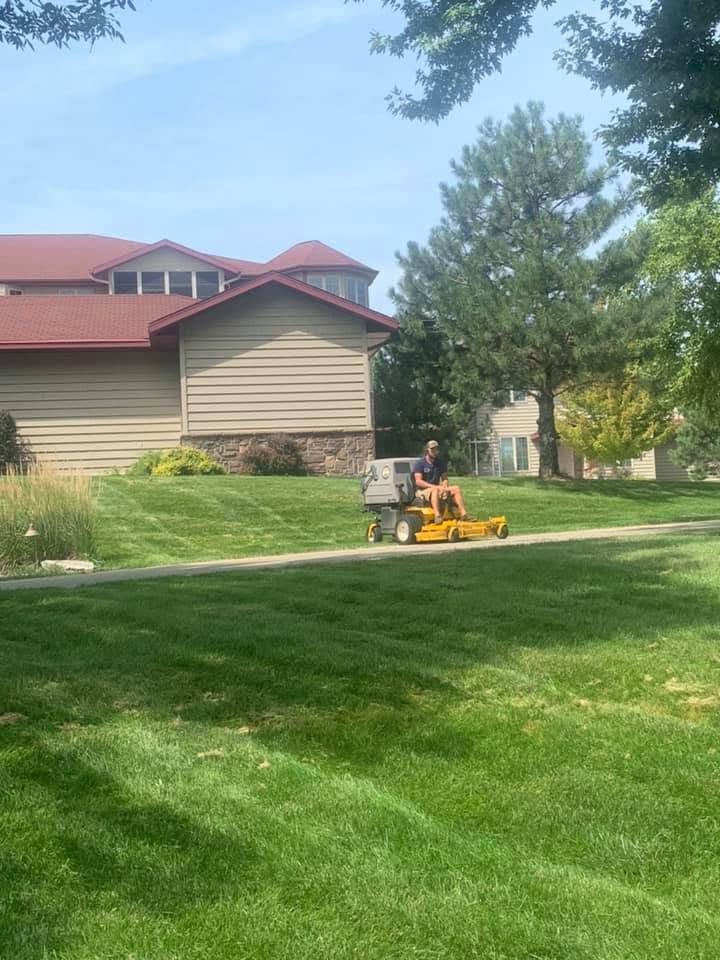 Lawn transformation 2