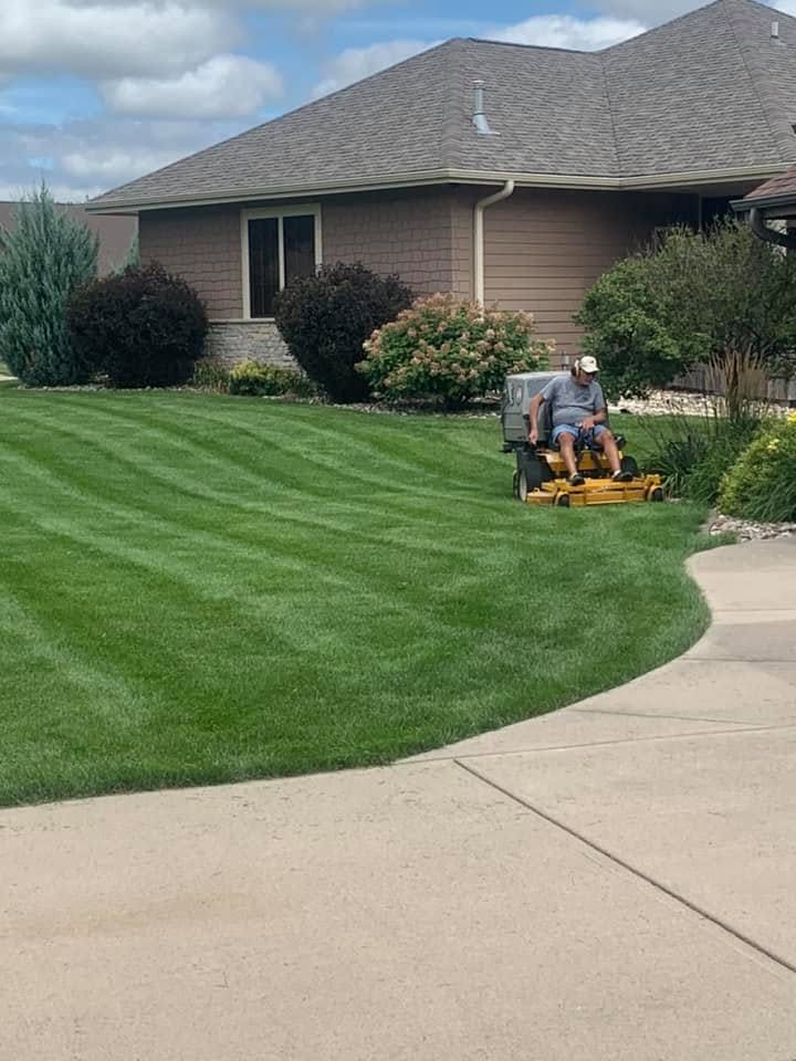 Lawn transformation 6