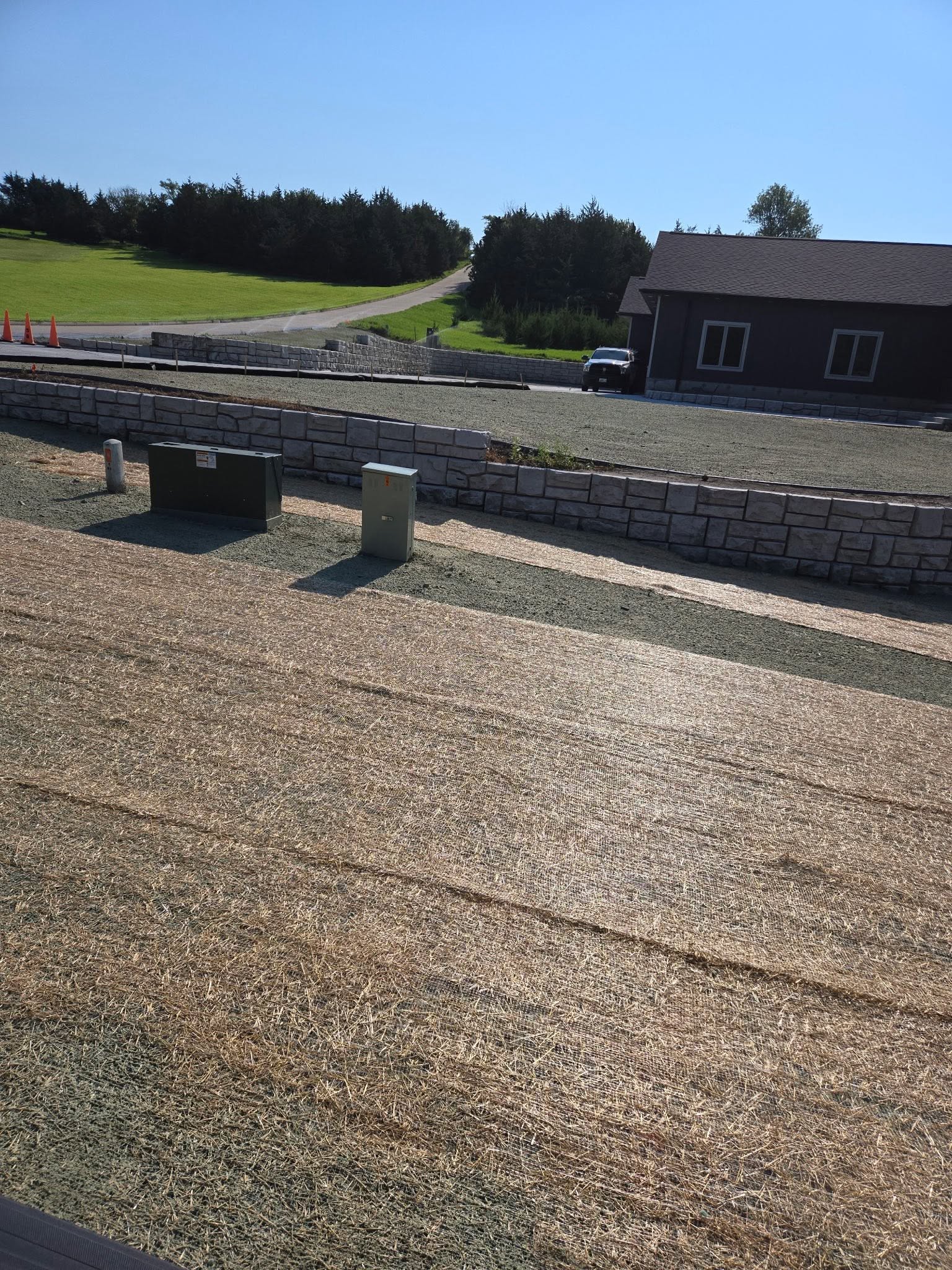 Lawn transformation 7
