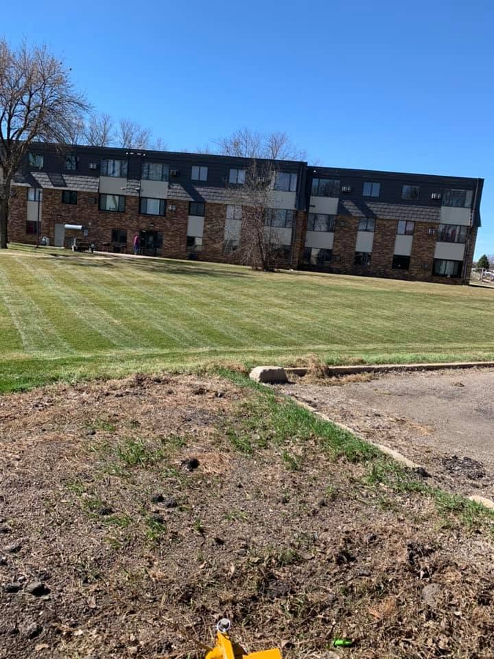 Lawn transformation 8