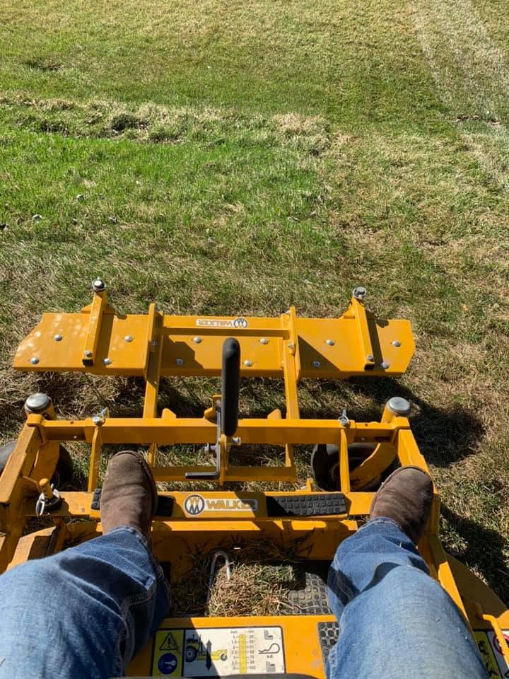 Lawn transformation 9